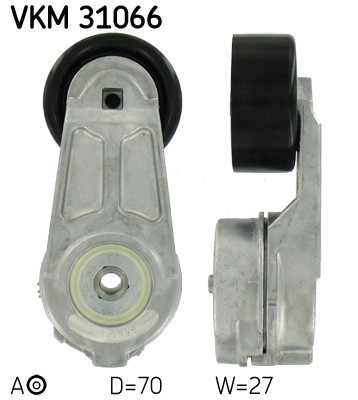 VKM 31066