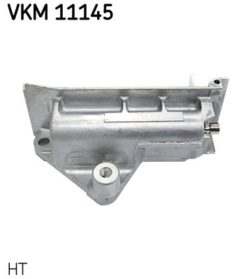 VKM 11145