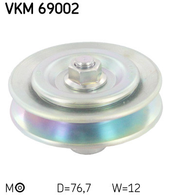 VKM 69002