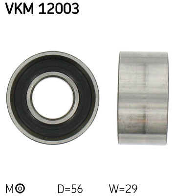 VKM 12003