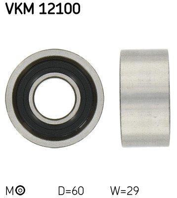 VKM 12100