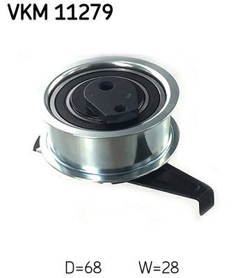 VKM 11279