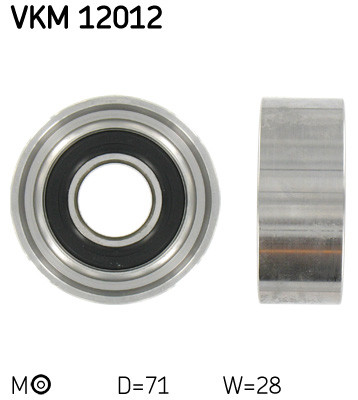 VKM 12012
