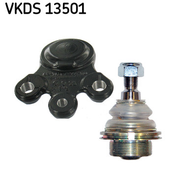 VKDS 13501