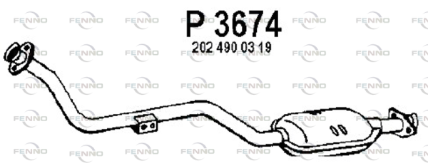 P3674 FENNO