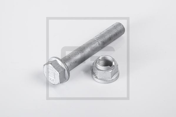 PE06309300
