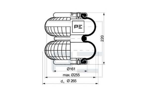 PE08420571