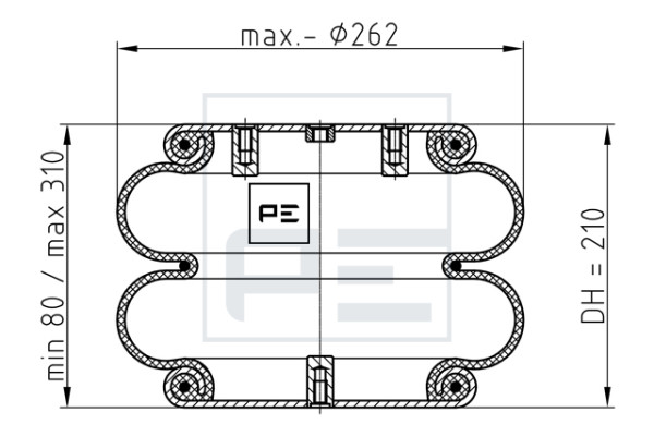 PE08420273