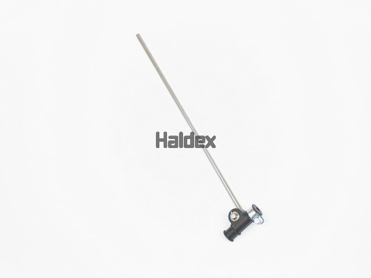 HDX003575709