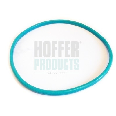 GSK03 HOFFER
