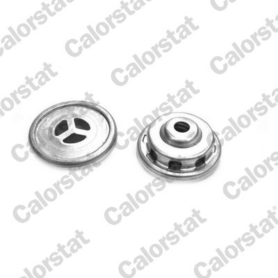 CV1002 CALORSTAT BY VE