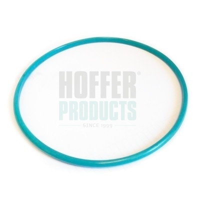 GSK01 HOFFER