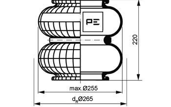 PE08420571