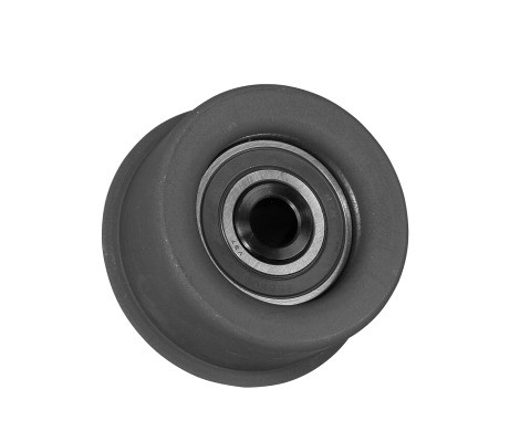 V55317COT