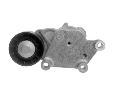 V85566COT