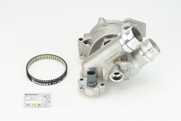 CT1143WP3COT