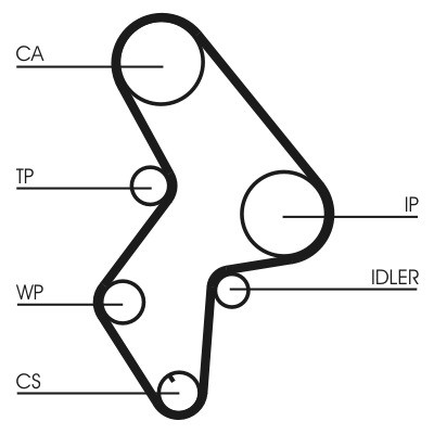 CT1061WP3COT