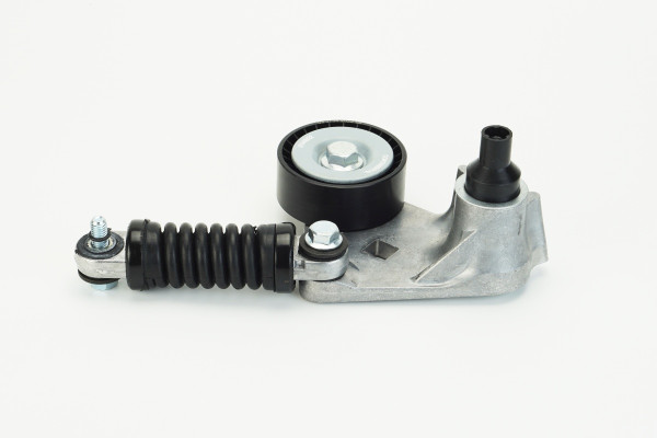 V85568COT