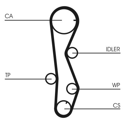 CT1099WP1COT