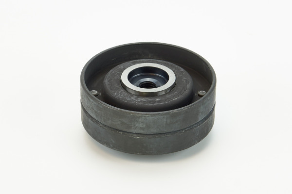 V55401COT