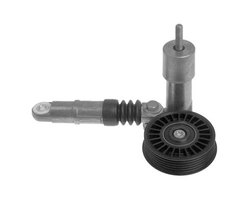 V85563COT