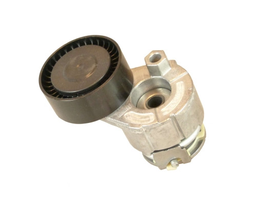 V85596COT