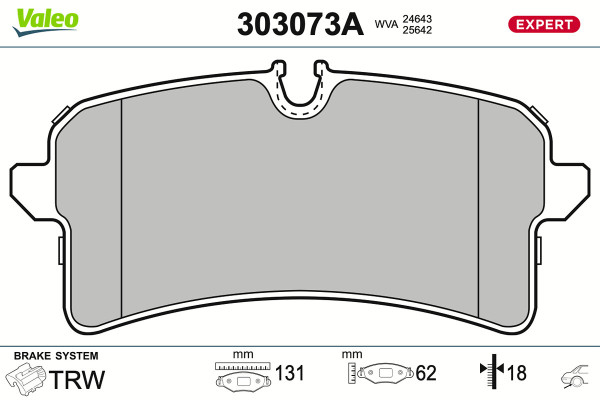 303073A
