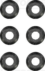 1000620303