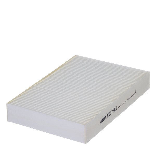 E5979LI