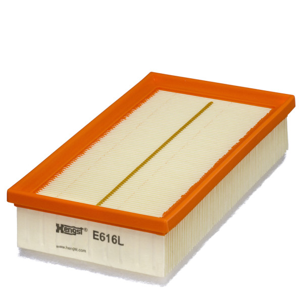 E616L