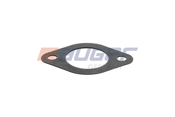 113117 AUGER