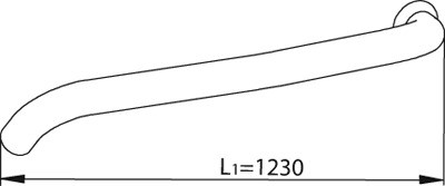 1000163281