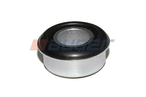 55481 AUGER