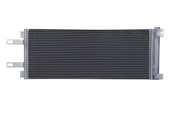 WCD00019