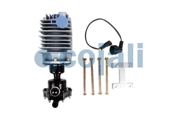 2480013 COJALI