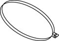 1000160852
