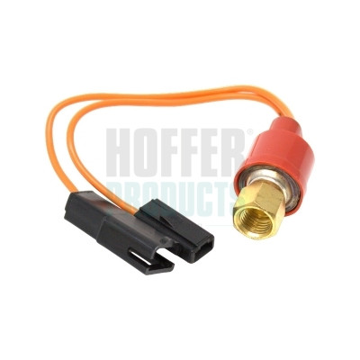 667110 HOFFER