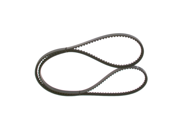 1000051131