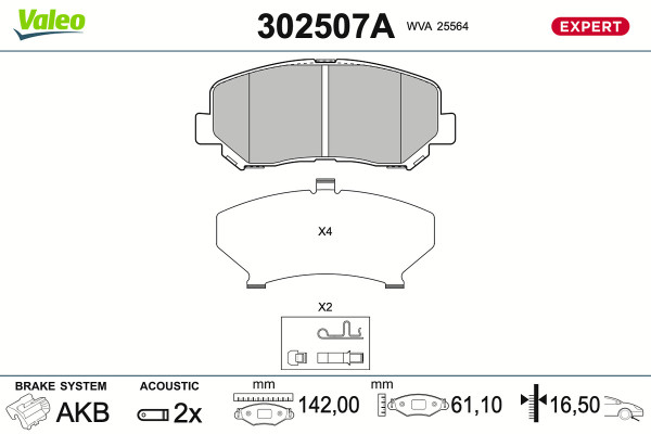 302507A