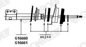 AK244