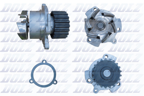 L142 DOLZ