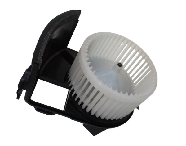 WBL01100