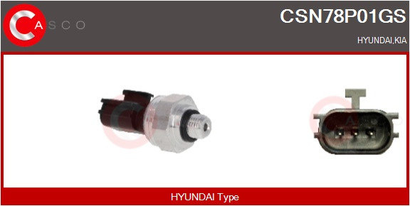 CSN78P01GS