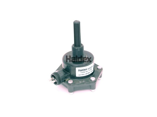 71325 HALDEX