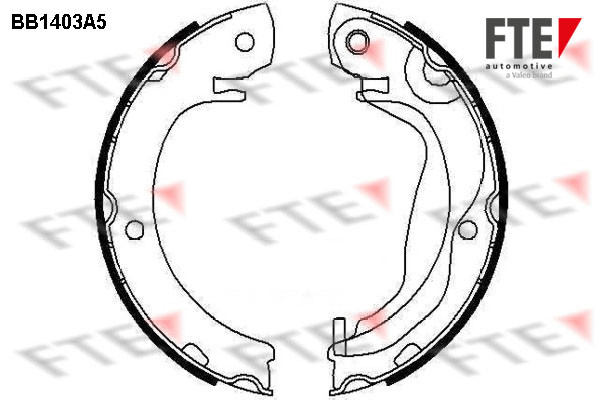 9100137 FTE