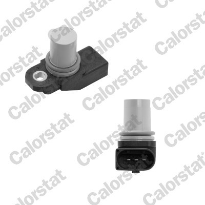 CS0412 CALORSTAT BY VE