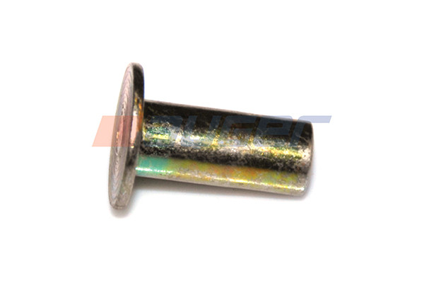 55631 AUGER