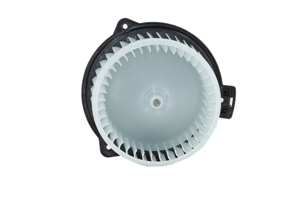 WBL01462