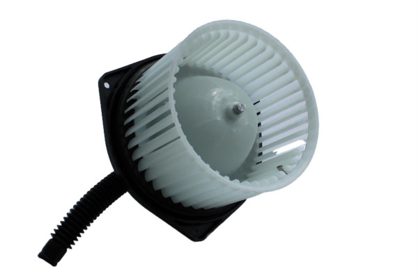 WBL01119
