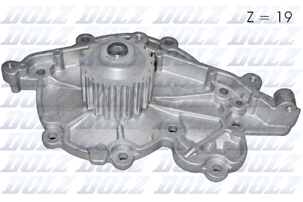 R211 DOLZ